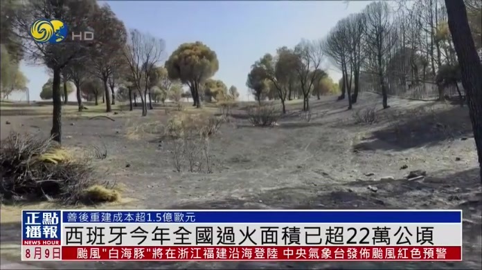西班牙今年全国过火面积已超22万公顷
