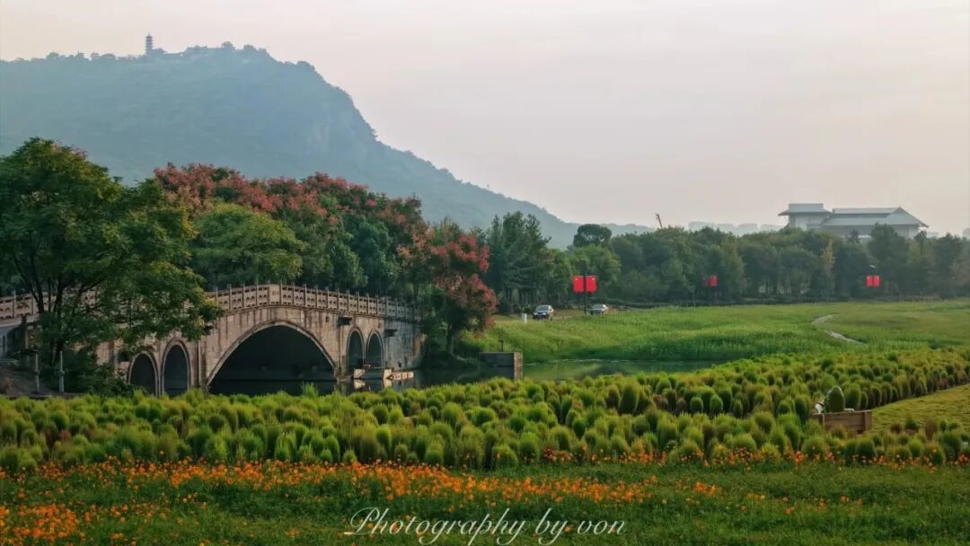 国庆湘湖|地肤草花海邂逅秋日晨光_2_von的影像实验室_来自小红书网页版.jpg
