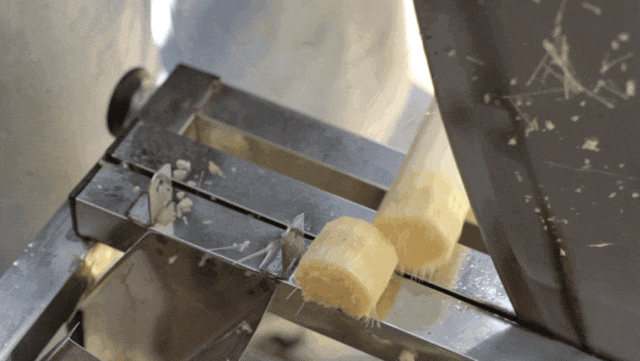 IMG_2857.GIF