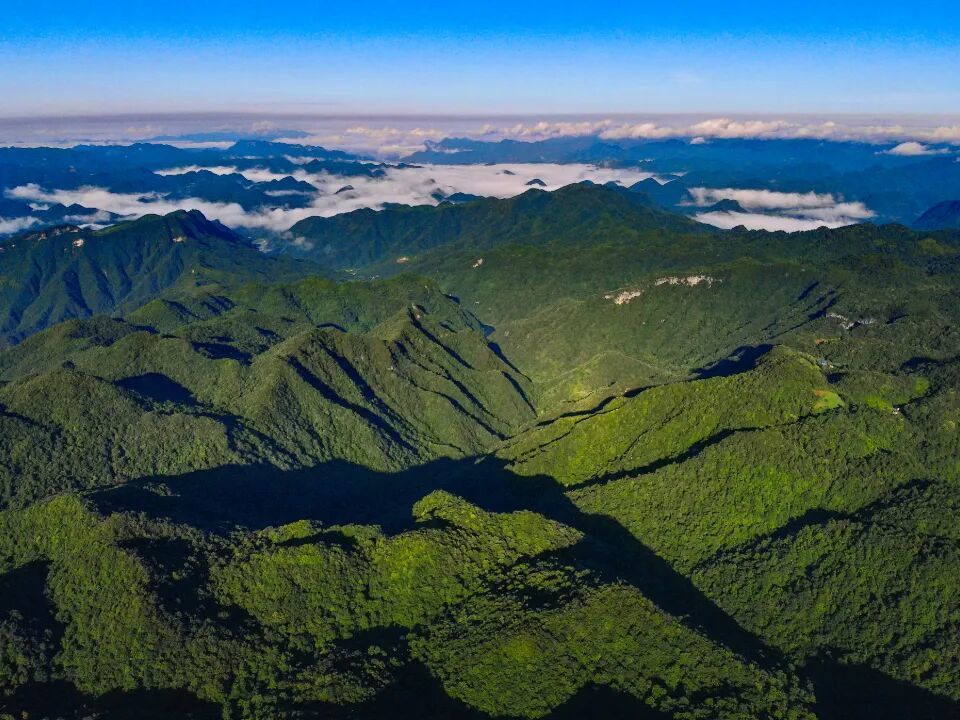 2 壶瓶山保护区 廖庆义摄.jpg