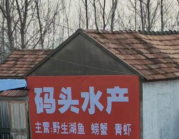 骆马湖北部水域有村民家墙体刷有野生水产品售卖信息。新华社记者 陆华东 摄