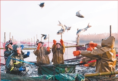 年货盈门 物阜民丰（新时代画卷）