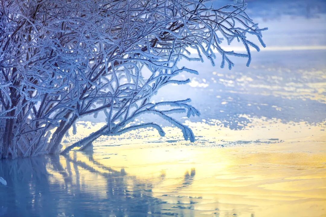 △桦木沟小河头雾凇。(图/视觉中国)