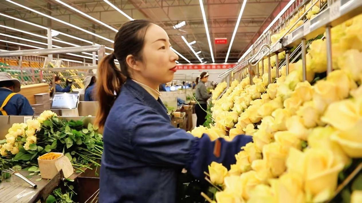 �������ڳ��������طּ�õ��