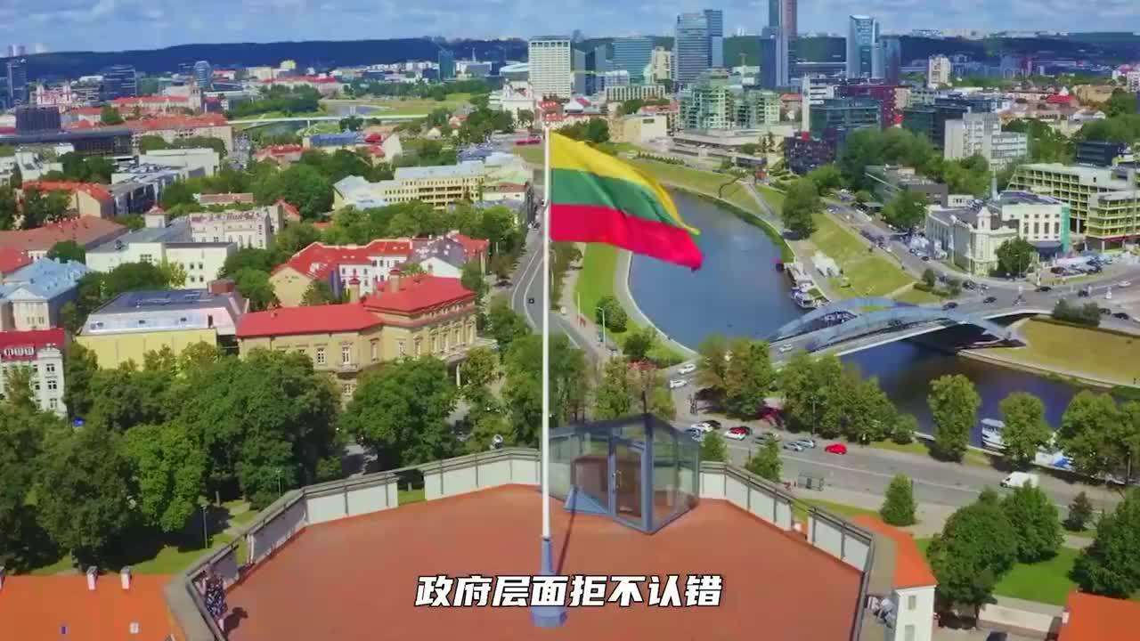 没救了，26国靠山全撤离，立陶宛议员登门求和，不惜代价要见中方