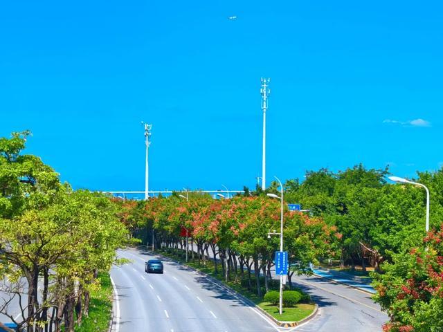 环岛东路 代岩摄
