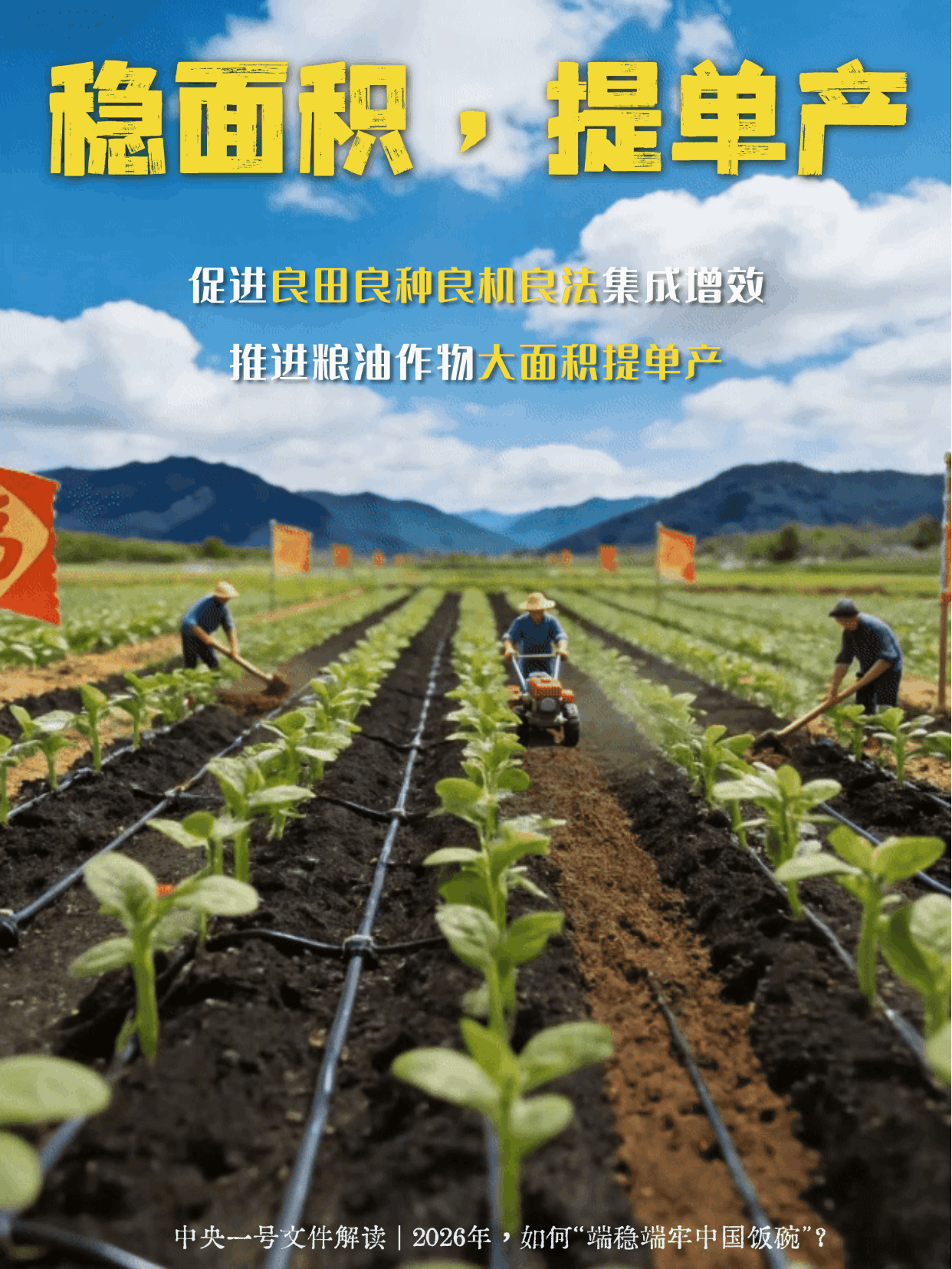 “动”察一号文件 | 2026年，如何“端稳端牢中国饭碗”？
