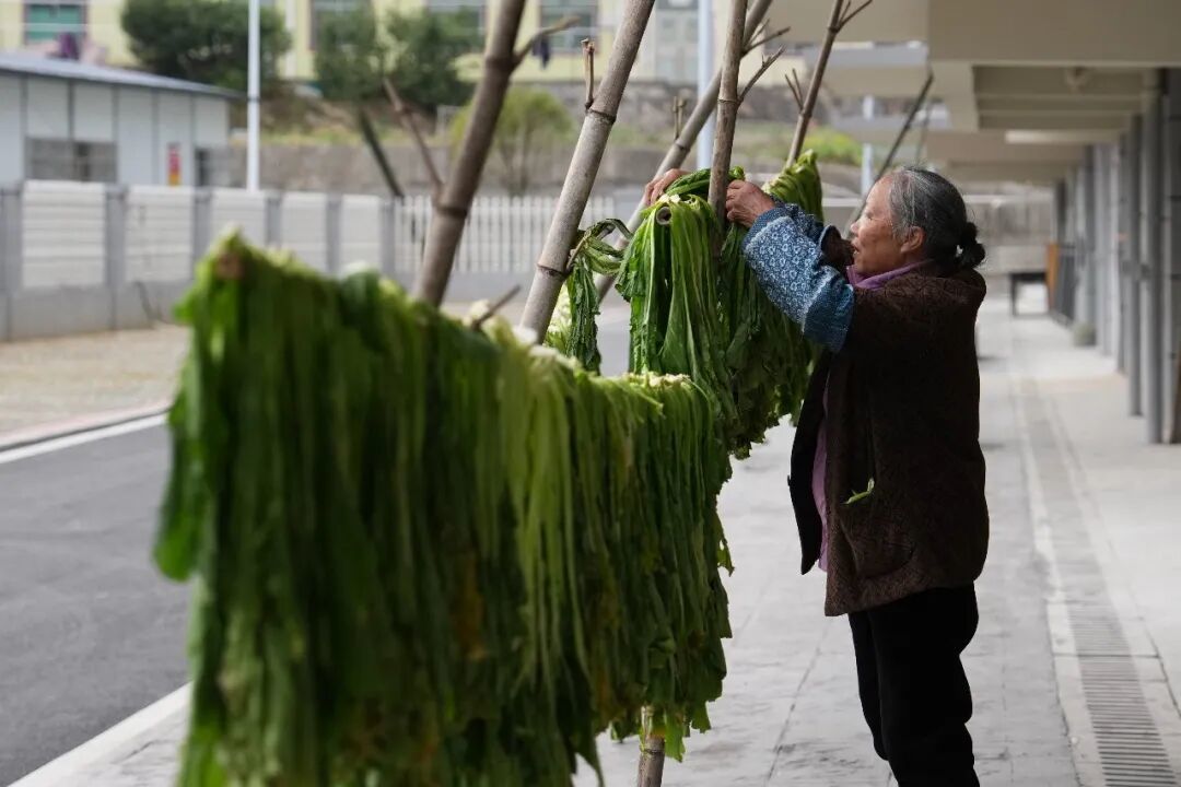 提高农民基础养老金将成为大势所趋。图为一位老人晾晒用来腌制的蔬菜/新华社记者 陈振海 摄
