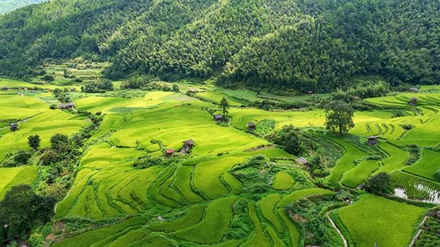 黄桑生态旅游区