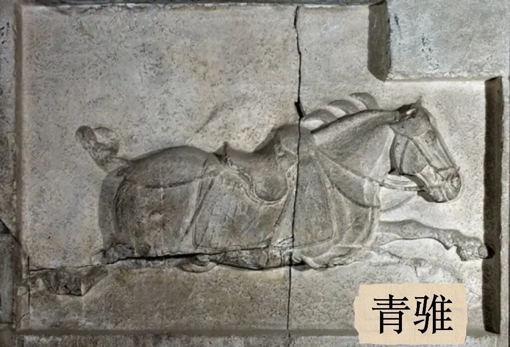 为什么马到了就会成功?