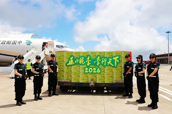 巫山脆李邮航专机。巫山县果品产业发展中心供图
