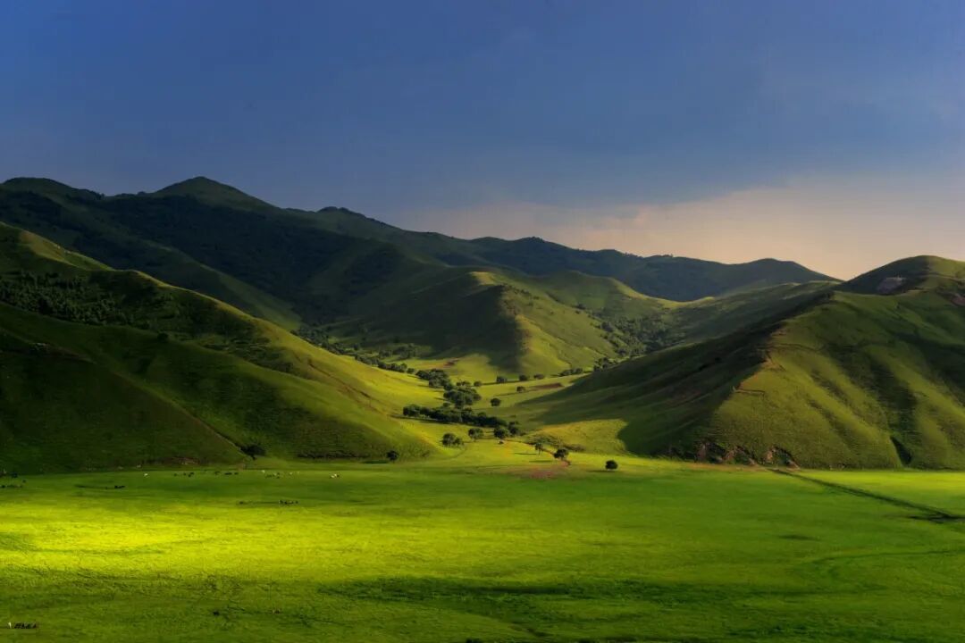 摄图网_501735688_呼伦贝尔大草原风景_(企业商用).jpg