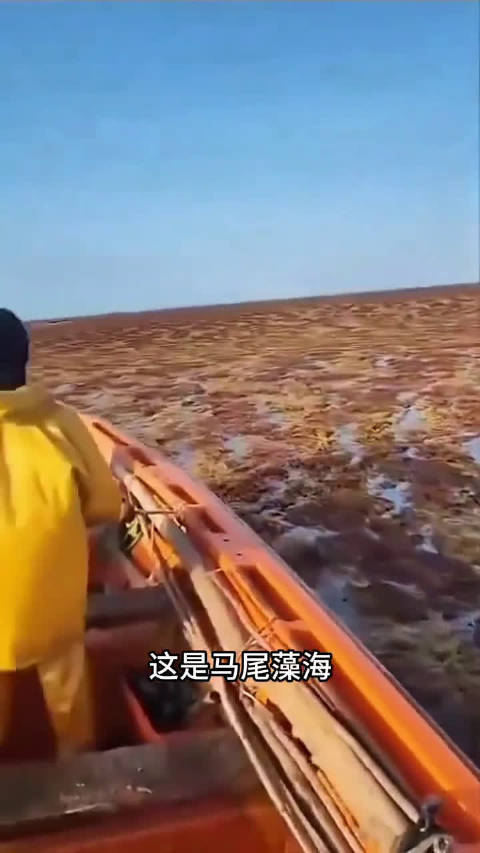 这些地方可以去游泳吗