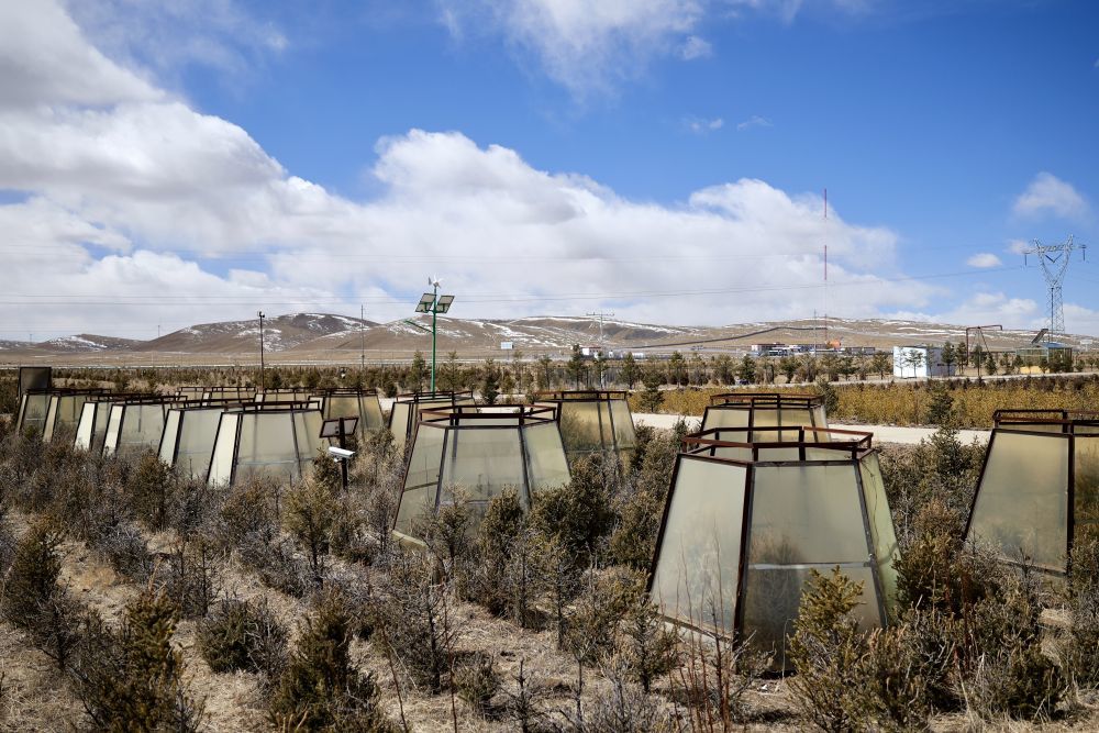 西藏那曲地区城镇植树关键技术研发与绿化模式示范项目示范基地中的顶开式滤光温室。新华社记者 周昱龙 摄