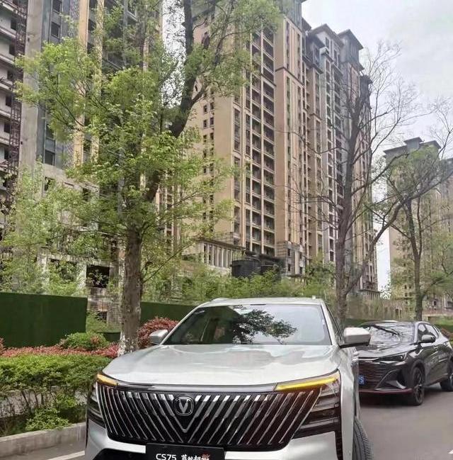 国产纯电车企生死存亡：为何说混动已成主流，最后的一家幸存者会是谁？-有驾