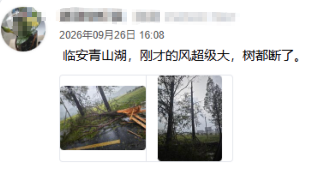 c61f893f-b46b-46b8-8896-8de91a992713.png