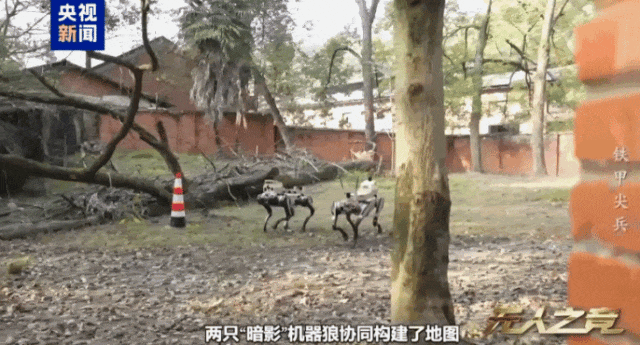 中国机器狼群巷战画面首次公开!可挂载微型导弹等,实现无死角作战