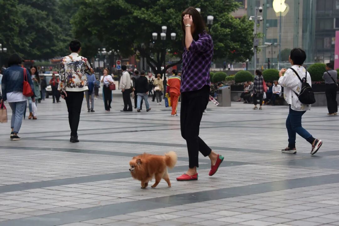 图/图虫创意