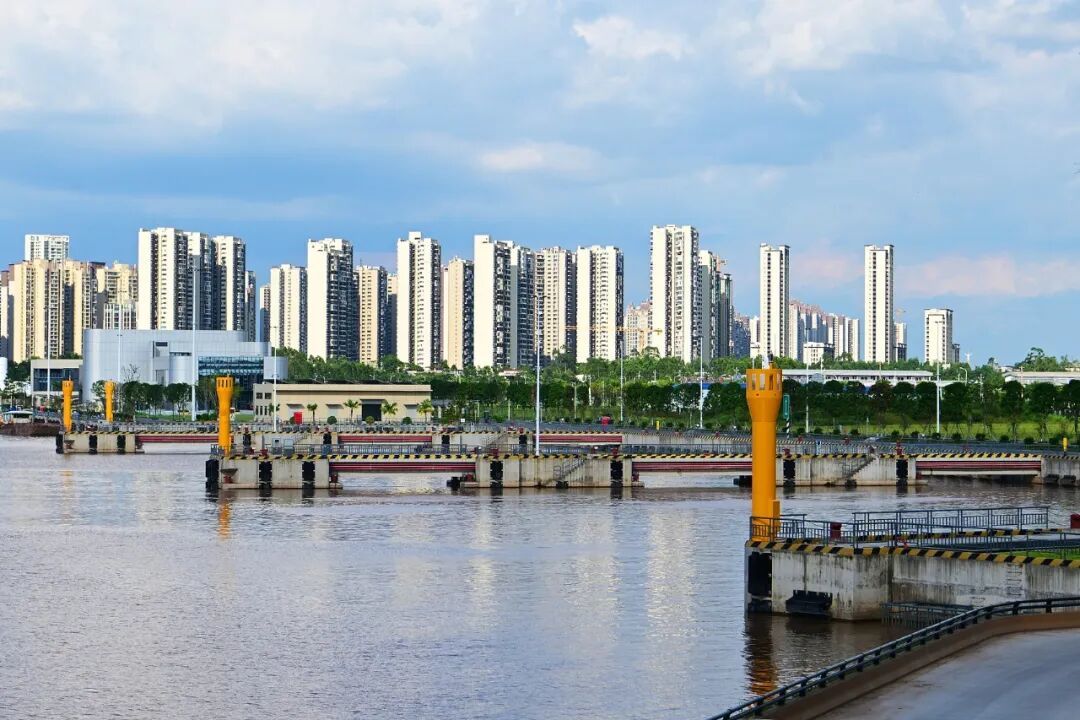 2026年8月25日,广西钦州市城区段平山岛右岸,平陆运河钦州水上服务区对面,古树得到有效保护/图源:视觉中国
