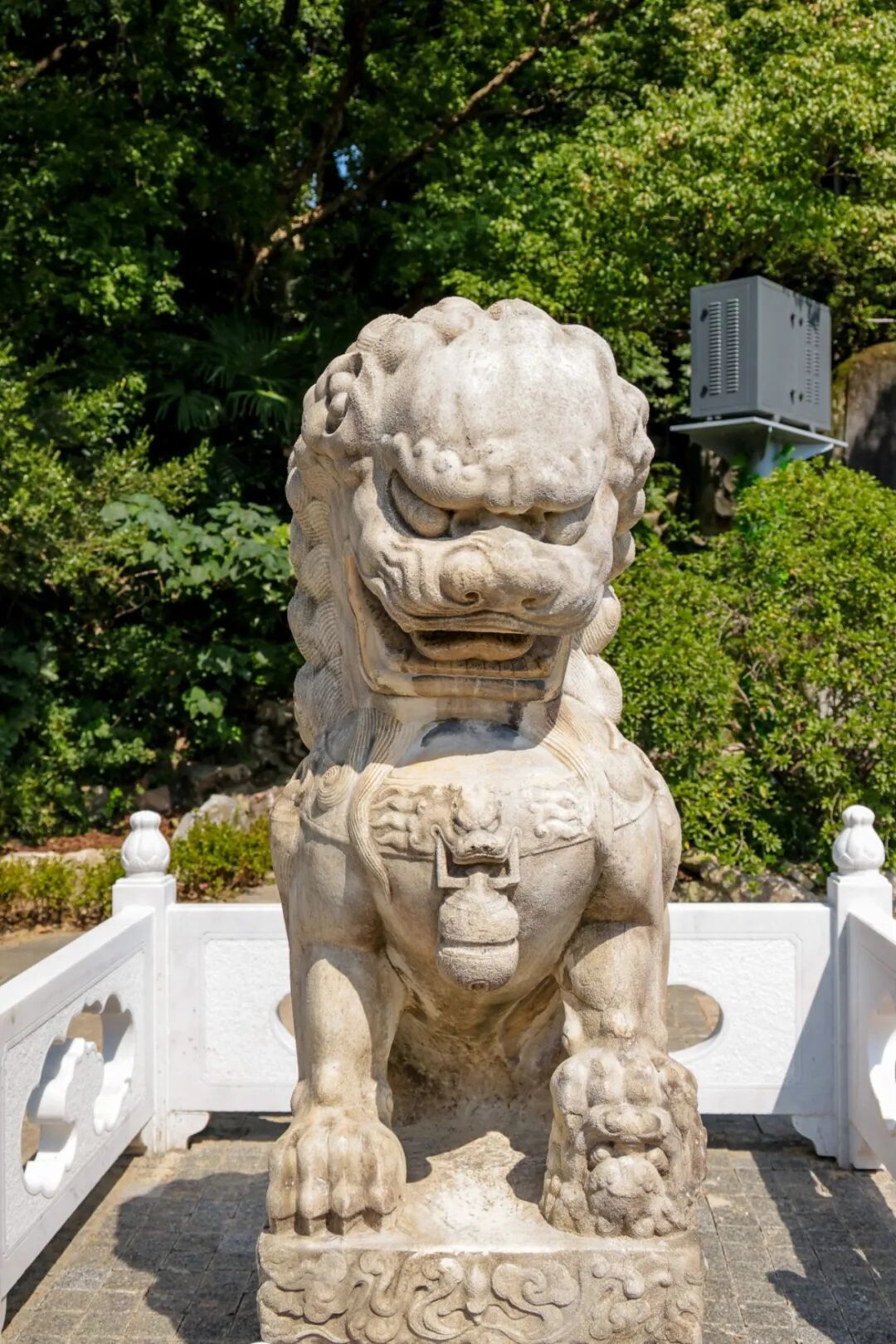 10.8 长风公园 朱旭洁摄 (50 - 70).jpg