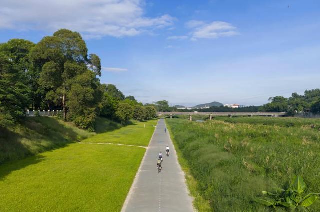 市民在龙岗河干流碧道骑行