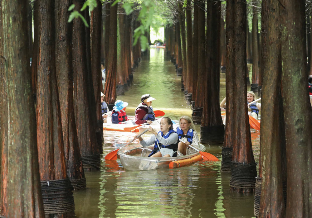 ↑ 7月26日,外国游客在云南昆明海洪湿地公园划船游玩。新华社发(郑益摄)