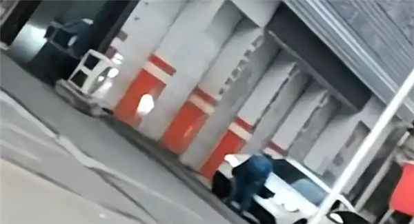 离谱！小区惊现孪生车牌 业主蹲守多日挖出真相：对方只为免费停车