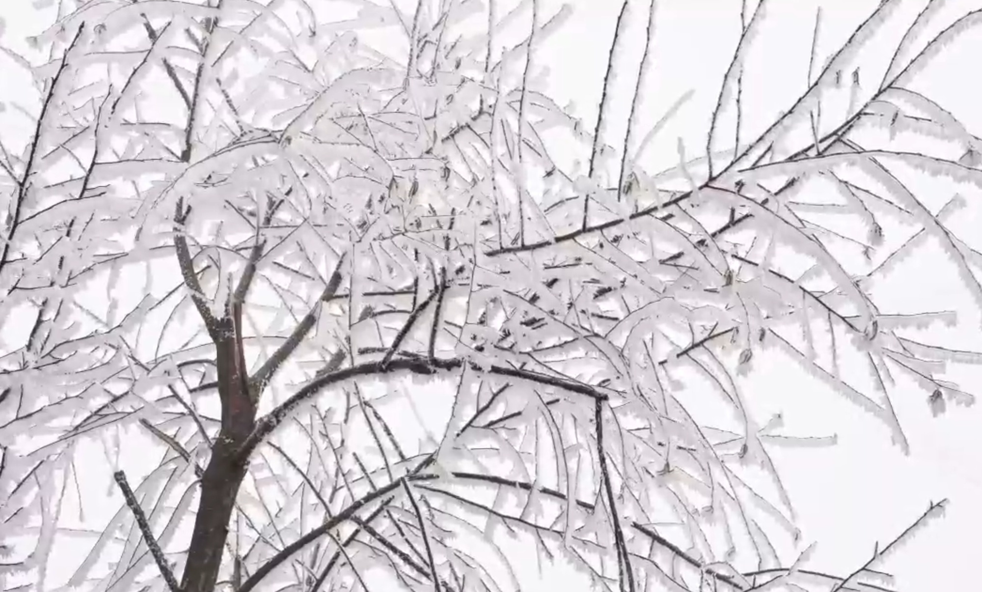 新春走基层|百小时鏖战寒潮:“电到冰除”,守护“西电东送”大动脉