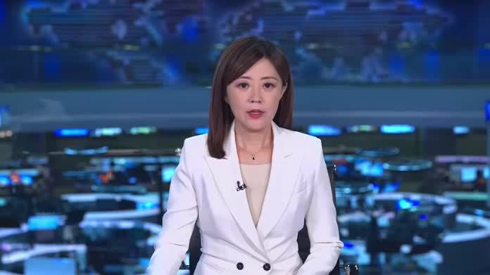 欧洲议会国际贸易委员会代表团下周访华