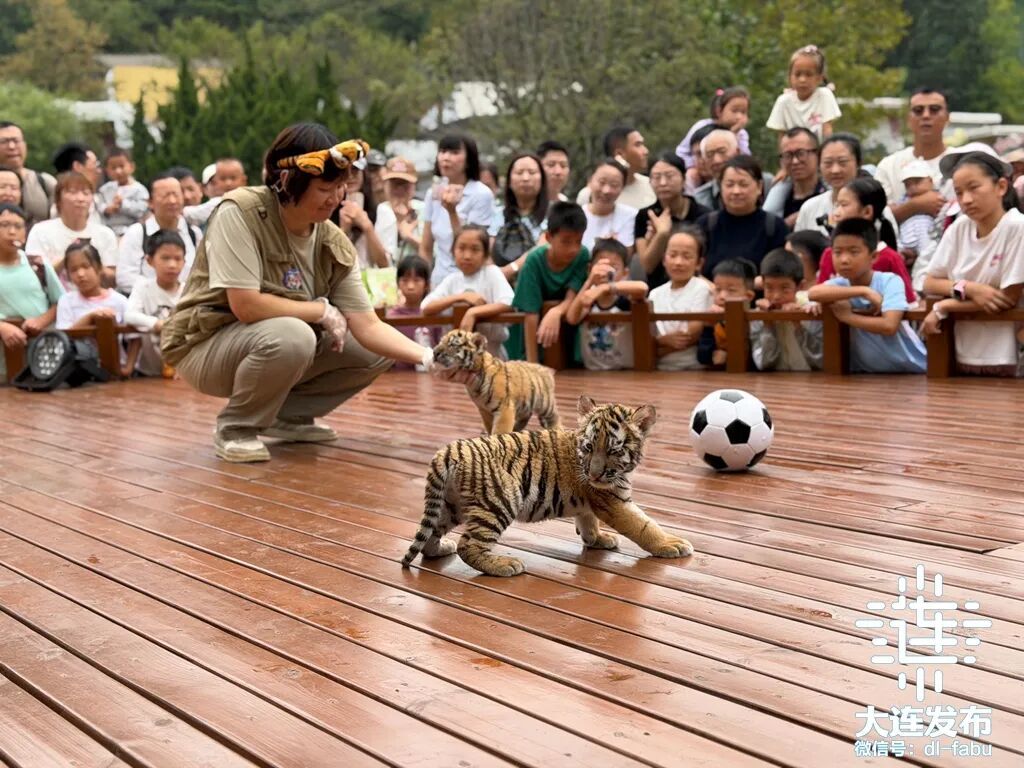 微信图片_2026-09-28_100603_131.jpg