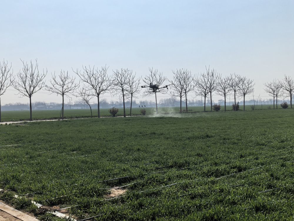 2026年3月19日，在河南省濮阳市清丰县固城镇张庄里村的无人农场内，无人机正在喷洒除草剂。新华社记者马意翀 摄