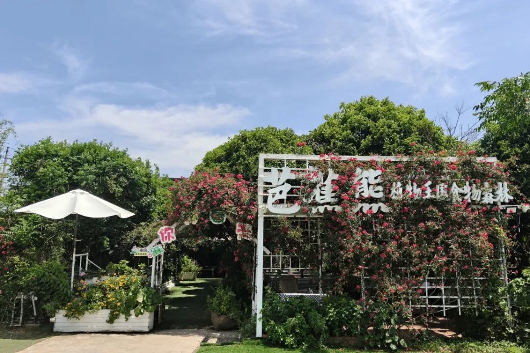 微信图片_20260507093055_756_602.jpg