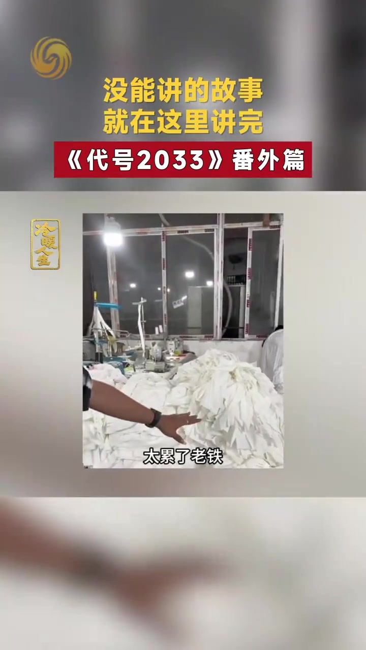 没能讲的故事 就在这里讲完 《代号2033》番外篇