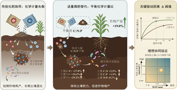 中科院:适合区域粪肥替代化肥 全球可年增谷物7亿吨