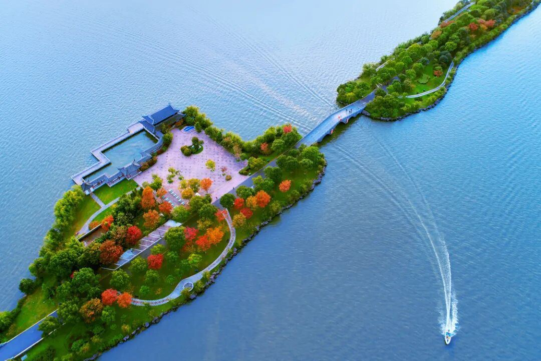 微信图片_2026-10-04_100140_724.jpg