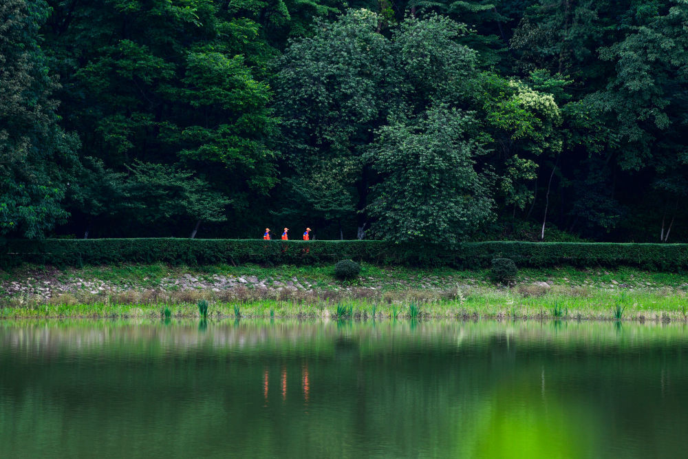 2025年7月1日，护林员在贵州省贵阳市长坡岭国有林场巡护山林。新华社记者杨文斌 摄