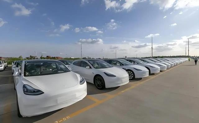 中国力量悄然崛起，北好意思电动车市集迎新变局-有驾