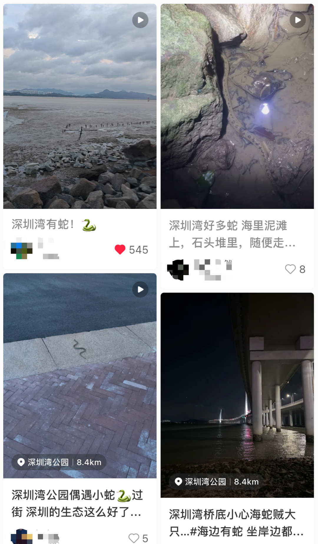 7e18f1c31e39efbac62af41f606b995f.png