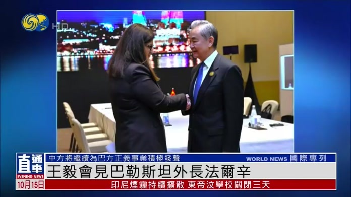 王毅会见巴勒斯坦外长法尔辛