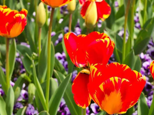 图片来源:雷科技