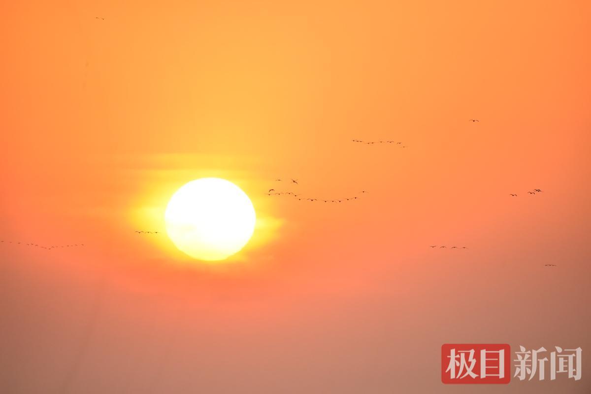 天鹅落日还 程伟 15926322818.JPG