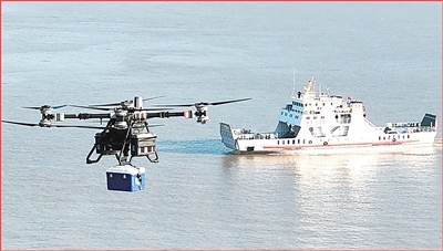 年货盈门 物阜民丰（新时代画卷）