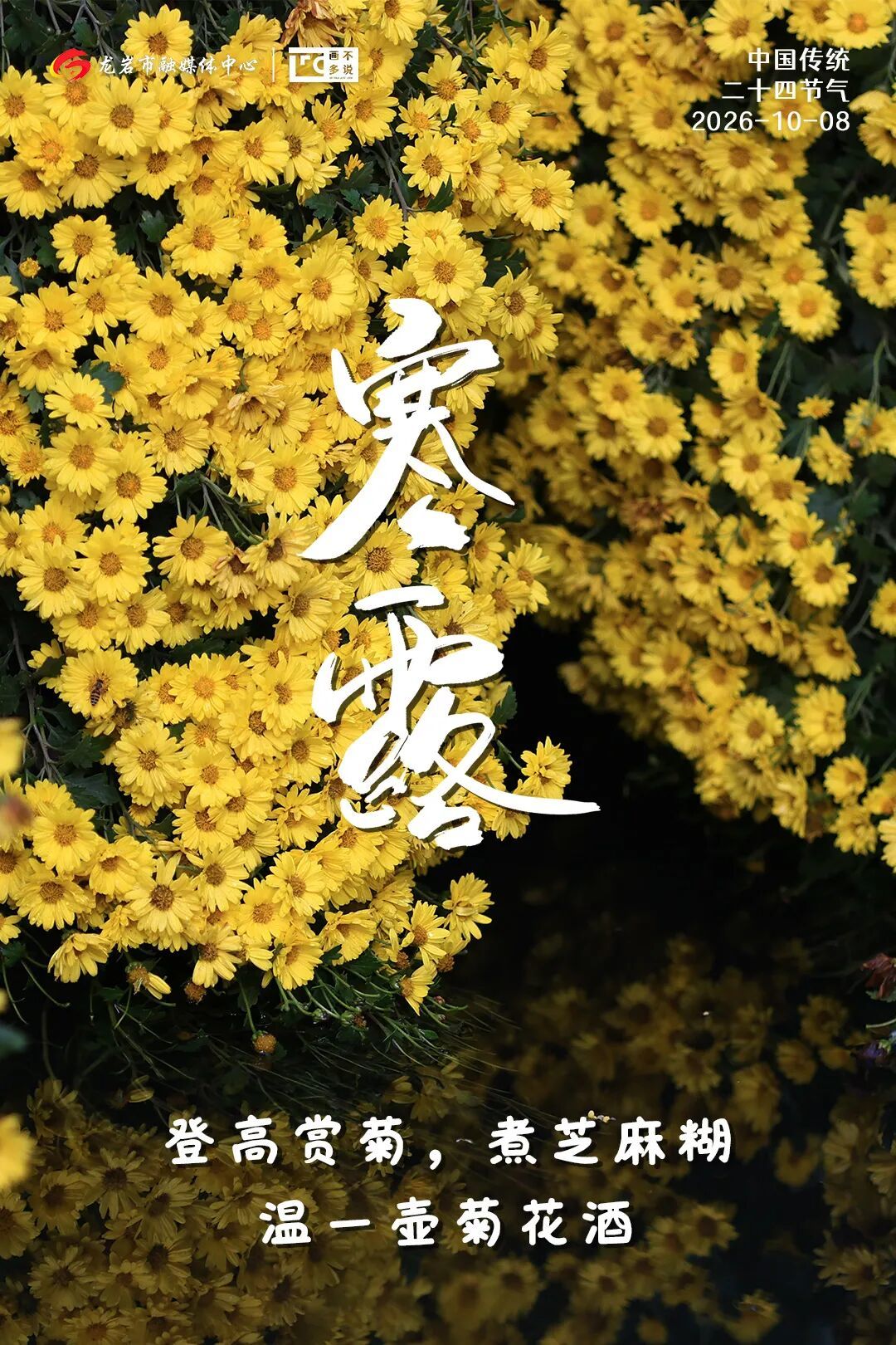 0fc63b45b3d84a9628e4f40e909c6d47.jpg