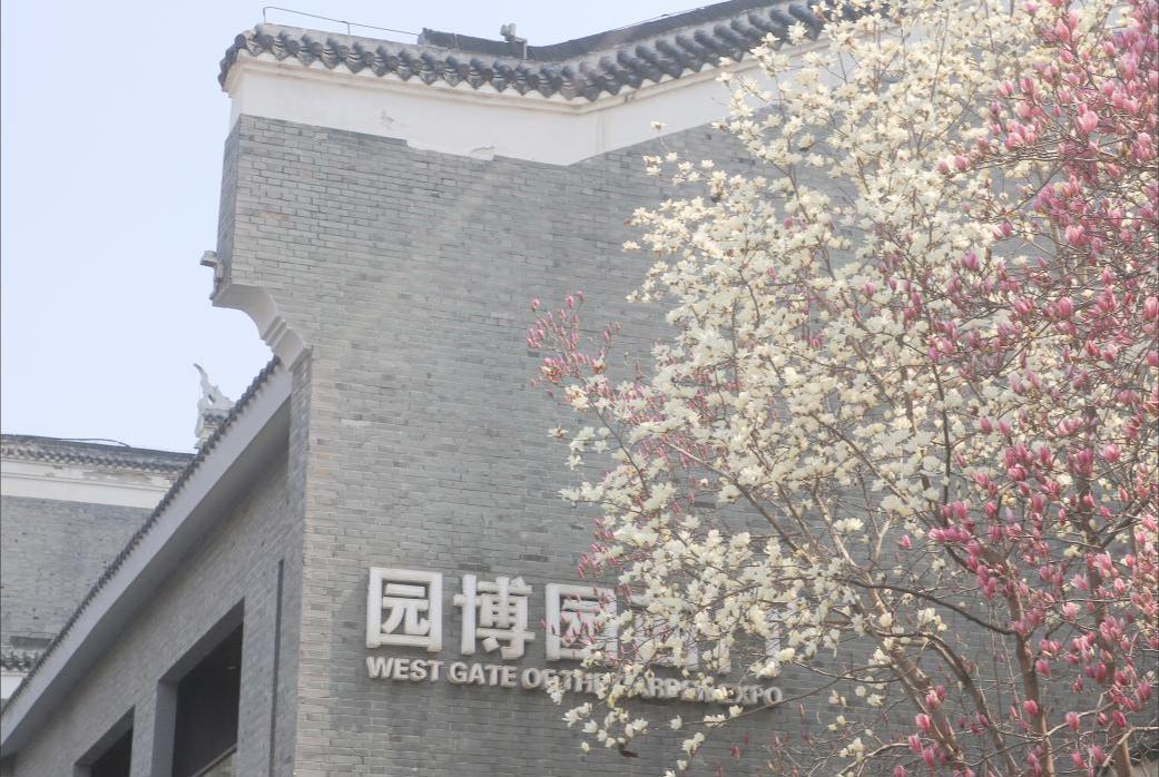1、园博园玉兰,一树双色.png