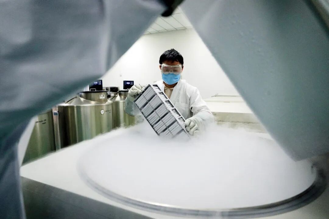 天津一家细胞基因公司内的干细胞库 图/视觉中国