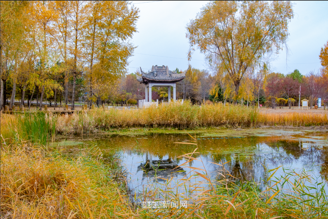微信图片_20261015154936_5081_11.png