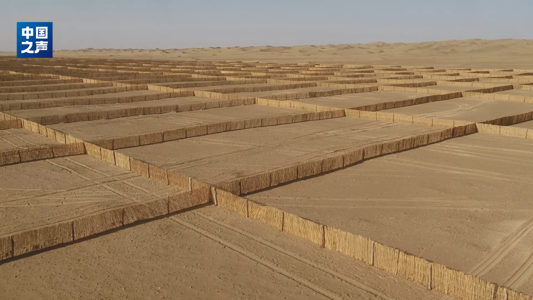 △新疆皮山县设立的高立式沙障