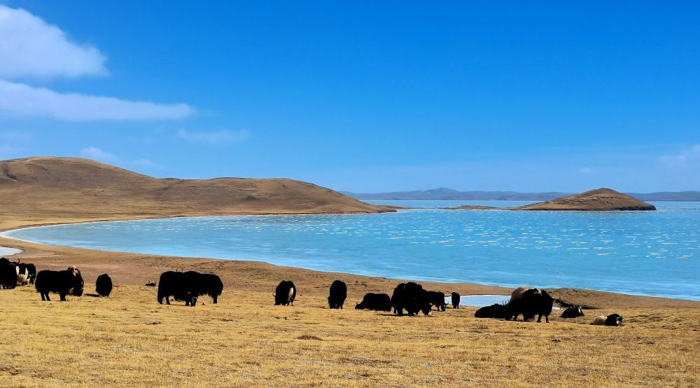 这是2022年3月12日在三江源国家公园黄河源园区拍摄的扎陵湖风光。新华社记者 吕雪莉 摄