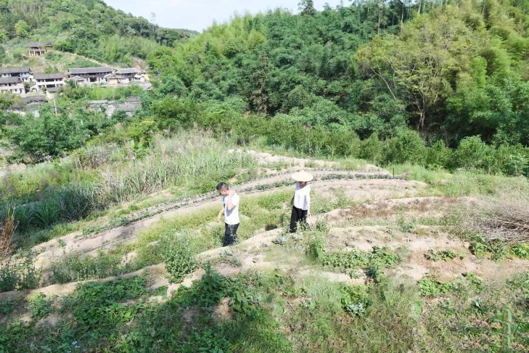 回乡创业，正在成为这些年的趋势。