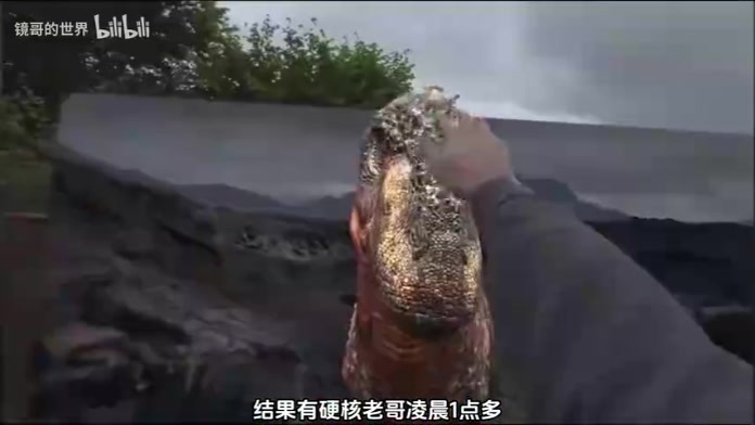 美国上千人通宵排队买中国品牌的相机
